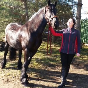 Veterinaras į namus Rūdiškės