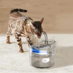 Automatinė gertuvė-fontanas augintiniams