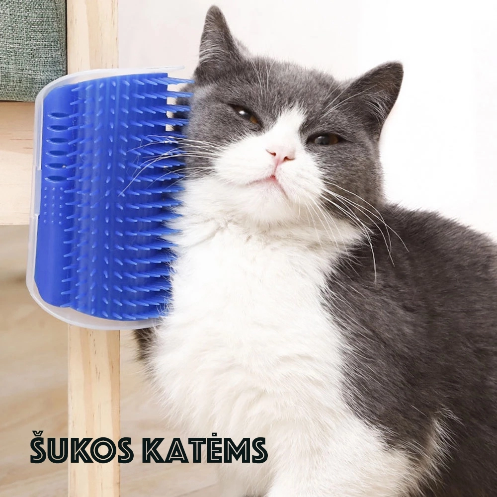 Šukos katėms